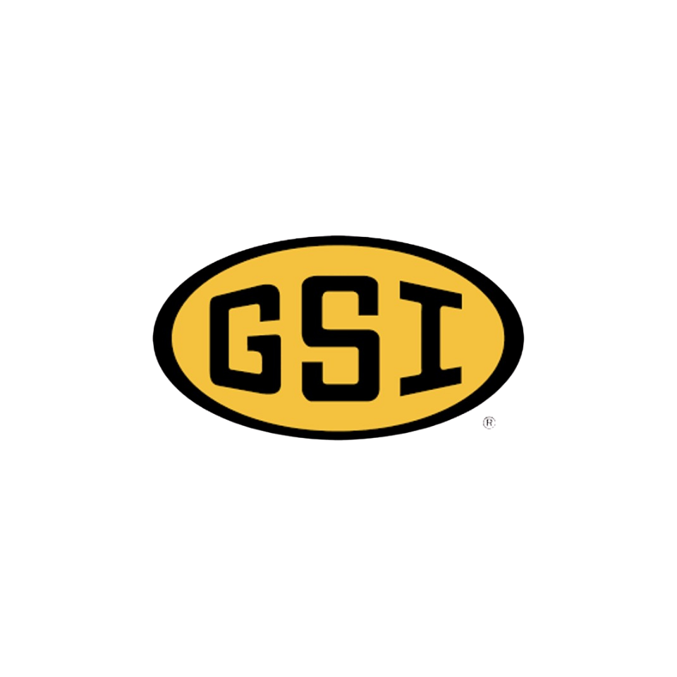 GSI